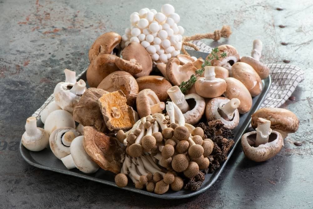 What Are Functional Mushrooms? A Simple...